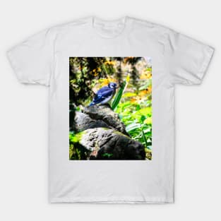 Blue Jay In My Garden T-Shirt